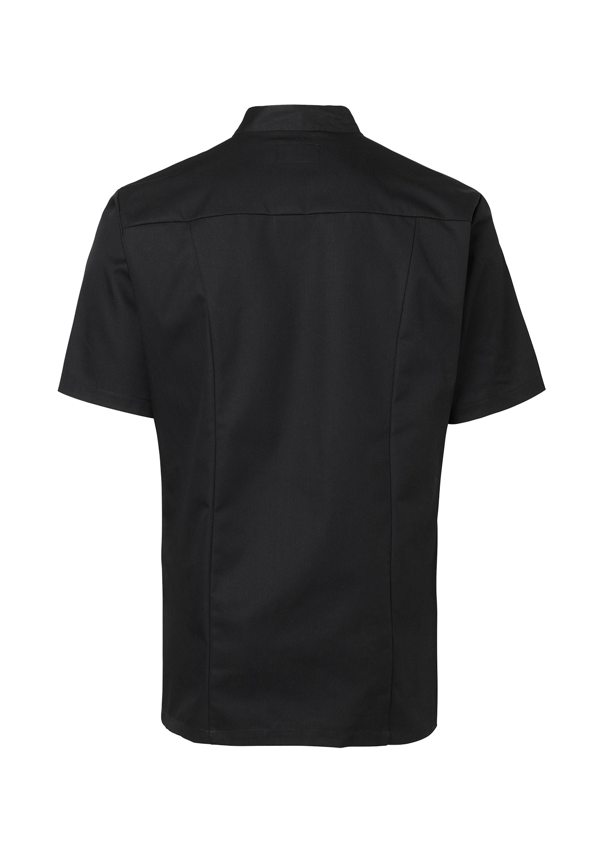 Chemise de Chef Slim Homme Manches Courtes | Segers